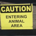 321-2225 San Diego Zoo - Caution - Entering Animal Area